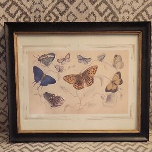 Framed Vintage Look Butterflies Print